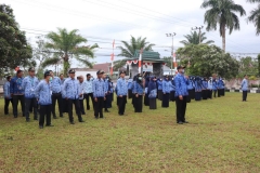 mini_IMG_0345-min