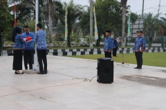 mini_IMG_0358-min