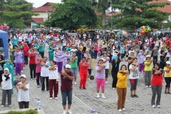 HKN Ke-48 Tahun 2012